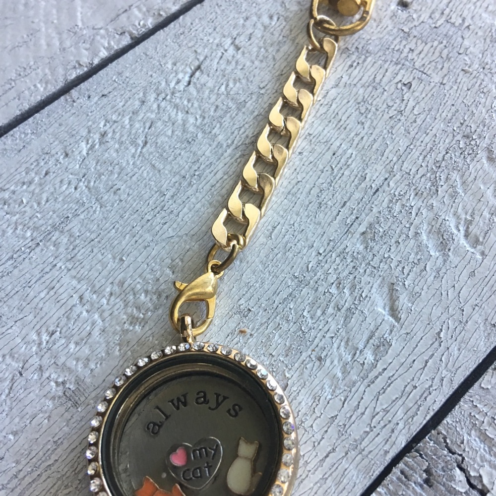 Cat Lover Memory Locket - Picture 3 of 4